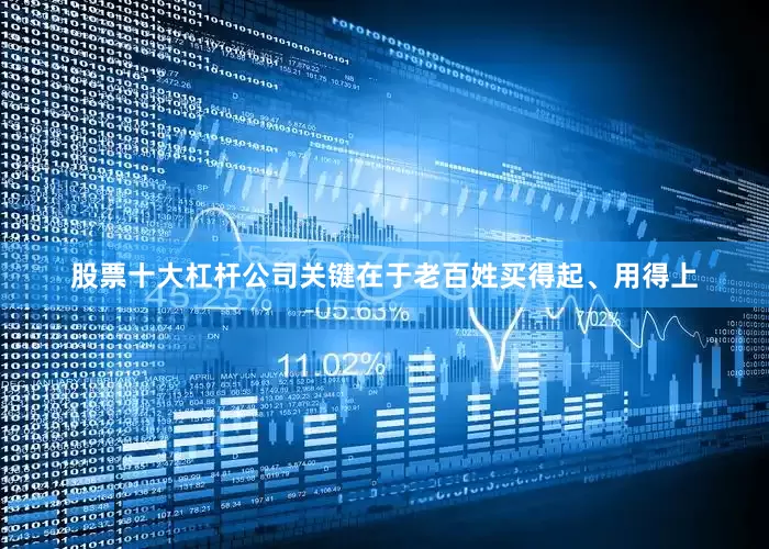 股票十大杠杆公司关键在于老百姓买得起、用得上