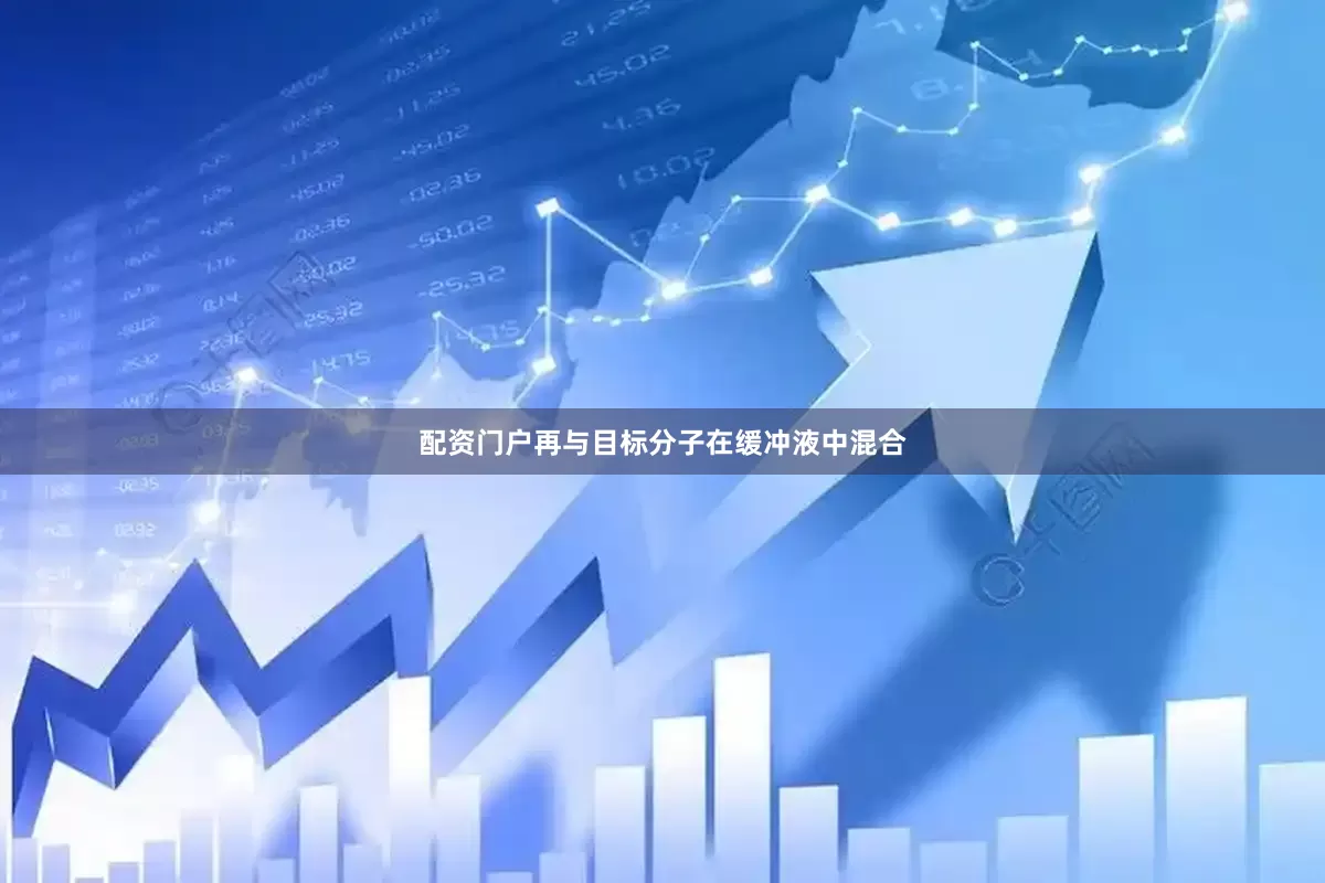 配资门户再与目标分子在缓冲液中混合