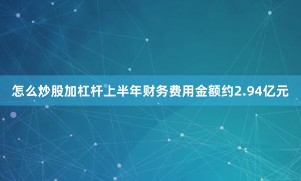 怎么炒股加杠杆上半年财务费用金额约2.94亿元