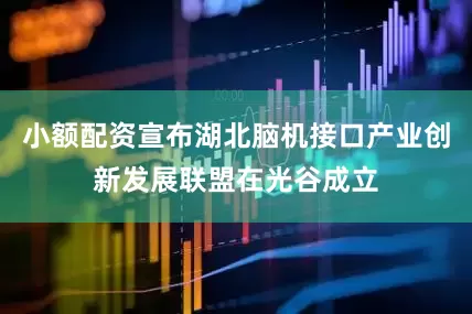 小额配资宣布湖北脑机接口产业创新发展联盟在光谷成立