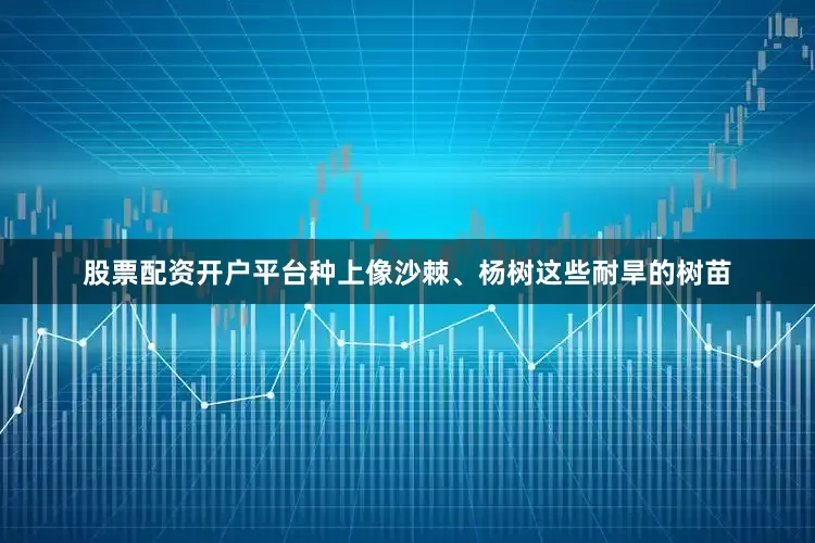 股票配资开户平台种上像沙棘、杨树这些耐旱的树苗