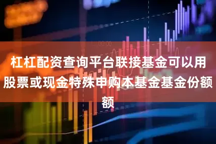 杠杠配资查询平台联接基金可以用股票或现金特殊申购本基金基金份额