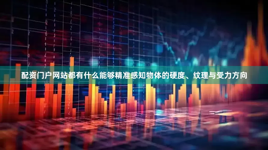 配资门户网站都有什么能够精准感知物体的硬度、纹理与受力方向